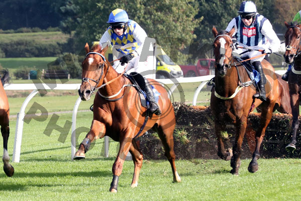 Race 2 - Normal Norman (6)