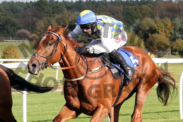 Race 2 - Normal Norman (9)