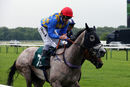Race 2 - Ocean Paradise (11)