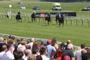 Race 2 - Oceanline (2)