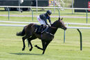 Race 2 - Oceanline (3)