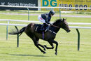 Race 2 - Oceanline (5)