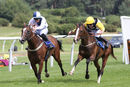 Race 2 - Oneofthesenights (11)