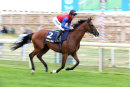 Race 2 - Pacify (2)