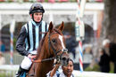 Race 2 - Palamon (7)