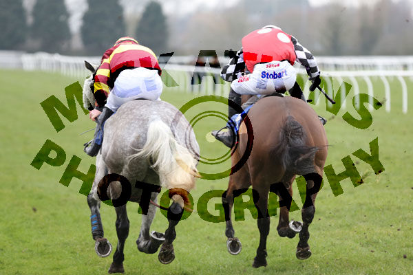 Race 2 - Parlour Maid (12)