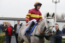 Race 2 - Parlour Maid (14)