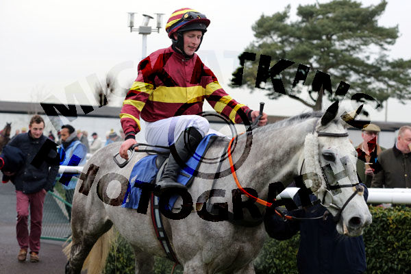Race 2 - Parlour Maid (15)