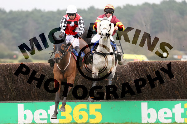 Race 2 - Parlour Maid (5)
