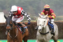 Race 2 - Parlour Maid (8)