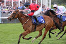 Race 2 - Peggie Sue (12)