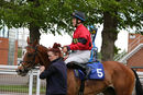 Race 2 - Peggie Sue (13)