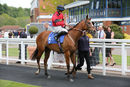 Race 2 - Peggie Sue (2)