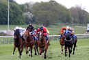 Race 2 - Peggie Sue (3)
