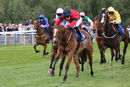 Race 2 - Peggie Sue (7)