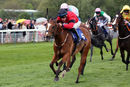 Race 2 - Peggie Sue (8)