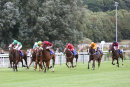 Race 2 - Penny Pot Lane (2)