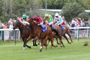 Race 2 - Penny Pot Lane (4)