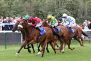 Race 2 - Penny Pot Lane (5)
