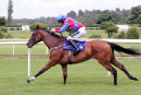 Race 2 - Pomme (8)