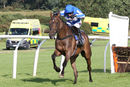 Race 2 - Present Ranger (7)
