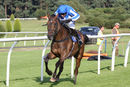 Race 2 - Present Ranger (8)