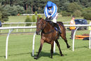 Race 2 - Present Ranger (9)