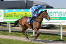 Race 2 - Present Ranger (2)