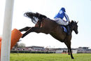 Race 2 - Present Ranger (4)
