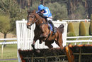 Race 2 - Present Ranger (5)