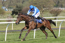 Race 2 - Present Ranger (7)