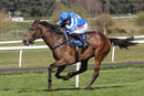 Race 2 - Present Ranger (8)