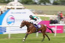 Race 2 - Primo (6)