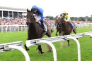 Race 2 - Rare Rhythm (4)