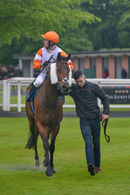 Race 2 - Rasheeq (14)