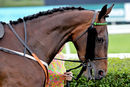 Race 2 - Rococo Style (3)