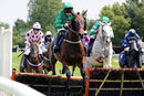 Race 2 - Rococo Style (6)