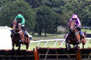 Race 2 - Rococo Style (9)