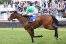 Race 2 - Rose Hip (11)