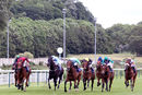 Race 2 - Rose Hip (3)