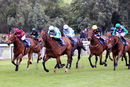 Race 2 - Rose Hip (4)