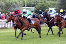 Race 2 - Rose Hip (5)