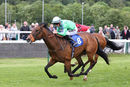 Race 2 - Rose Hip (9)