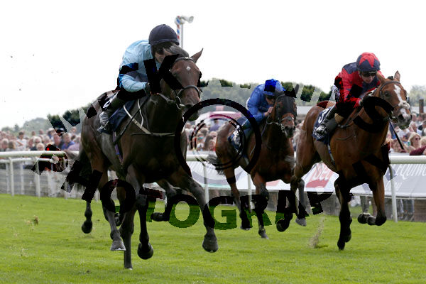 Race 2 - Royal Patronage (2)