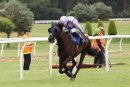 Race 2 - Running In Heels (4)