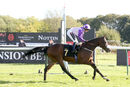 Race 2 - Secret Shadow (12)