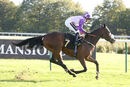 Race 2 - Secret Shadow (13)
