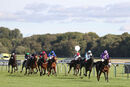 Race 2 - Secret Shadow (3)