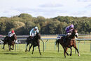 Race 2 - Secret Shadow (5)