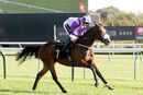 Race 2 - Secret Shadow (6)